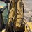 caterpillar-345c-image-59