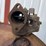 john-deere-71-image-2