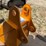 #25034-•-cat305-12"-bucket-excavator-attachment-image-10