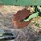 john-deere-pull-type-two-bottom-plow-image-16