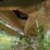 2007-clement-dump-trailer-image-20