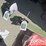 unused-tpm-quick-hitch,-1"-pin-hole-to-suit-0.8-1.4-ton-mini-excavators-image-4