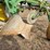 john-deere-pull-type-three-bottom-plow-image-12