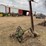 john-deere-sickle-bar-mower-image-3