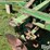 john-deere-eh1h1-image-9