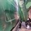 1997-mack-rd688s-image-67
