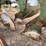 john-deere-three-point-three-bottom-plow-image-15