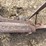 john-deere-two-bottom-plow-image-18