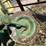john-deere-three-point-two-bottom-plow-image-16