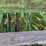 john-deere-lz812-image-18