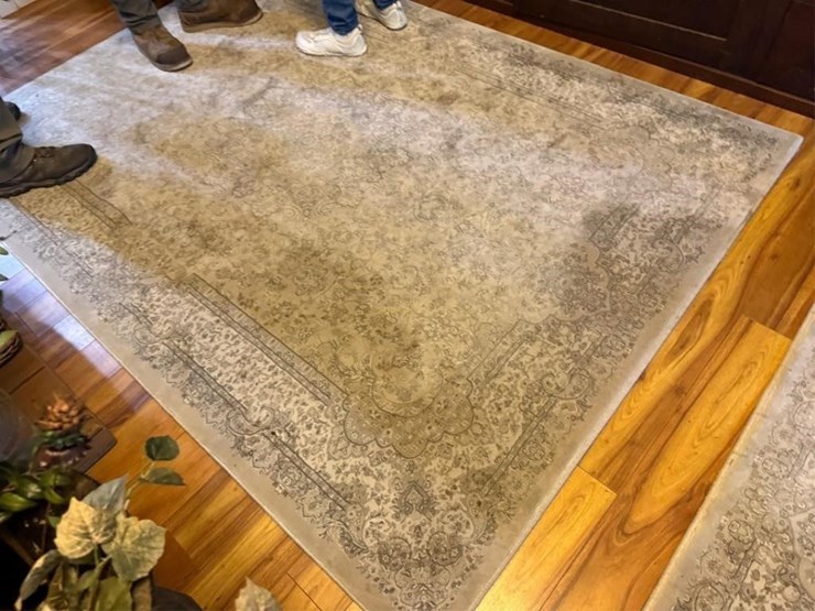 (3)-misc-rugs-image-2