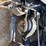 2010-kenworth-t800-image-72