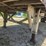 2016-wilkens-walking-floor-image-20
