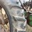 john-deere-model-a-image-29