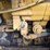 1983-caterpillar-973-image-55