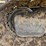 2019-caterpillar-320-image-80