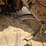 2019-caterpillar-d6-image-64