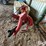 2013-farm-king-mdn7-image-8