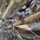 2019-caterpillar-320-image-81