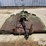 john-deere-307-image-2