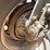 2010-kenworth-t800-image-49