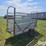 portable-livestock-loading-chute-image-5