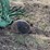 john-deere-pull-type-two-bottom-plow-image-19