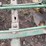 john-deere-two-row-planter-image-11