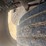 2017-international-terrastar-image-53