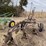 john-deere-pull-type-three-bottom-plow-image-16