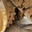 2019-caterpillar-d6-image-65