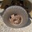 2003-dodge-ram-3500-image-80