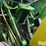 2010-john-deere-1770nt-image-19
