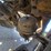 2006-kenworth-w900-image-86