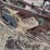 john-deere-pull-type-three-bottom-plow.-image-19