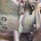 john-deere-bo-lindeman-image-37