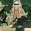 john-deere-893-image-16