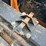 2016-king-load-image-39