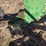 john-deere-three-point-four-bottom-plow-image-29