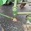 1951-john-deere-m-image-45