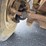 2000-ford-f550-image-35