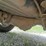 2008-chevrolet-silverado-3500-image-102