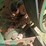 artsway-420-image-17