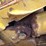 2005-caterpillar-d5n-xl-image-57