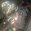 gmc-topkick-image-13