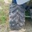 1991-polaris-trail-boss-250-image-36