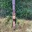lundell-1250-image-12