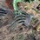 john-deere-pull-type-two-bottom-plow-image-15