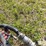 case-ih-3430-image-10