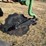 john-deere-three-point-three-bottom-plow-image-9